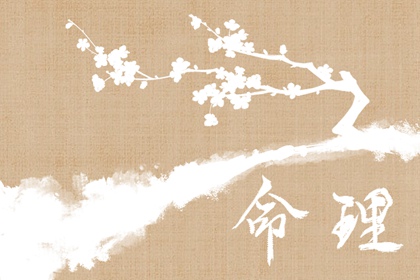 算命排盘,测八字姓名测试,生晨八字生肖,金匮八字神煞,八字看每月每日